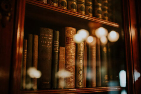 Books in wooden bookcase